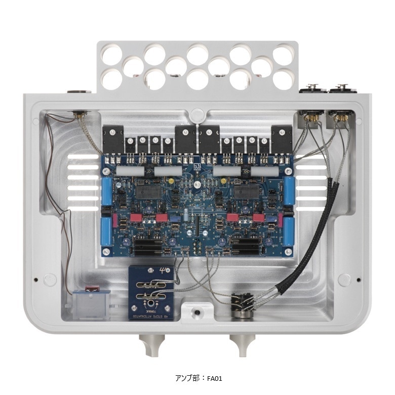 新品 Fundamental aina