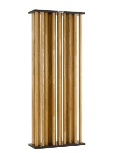 新品 日本音響エンジニアリング株式会社 ANKH-I ST12(フラットタイプ)