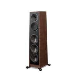 新品 Paradigm Founder 100F Walnut