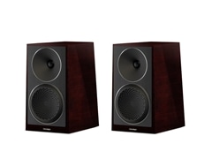 新品 Paradigm Founder 40B Midnight Cherry