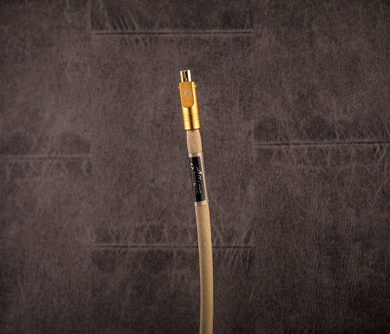 allegro/Digital RCA 2.0m