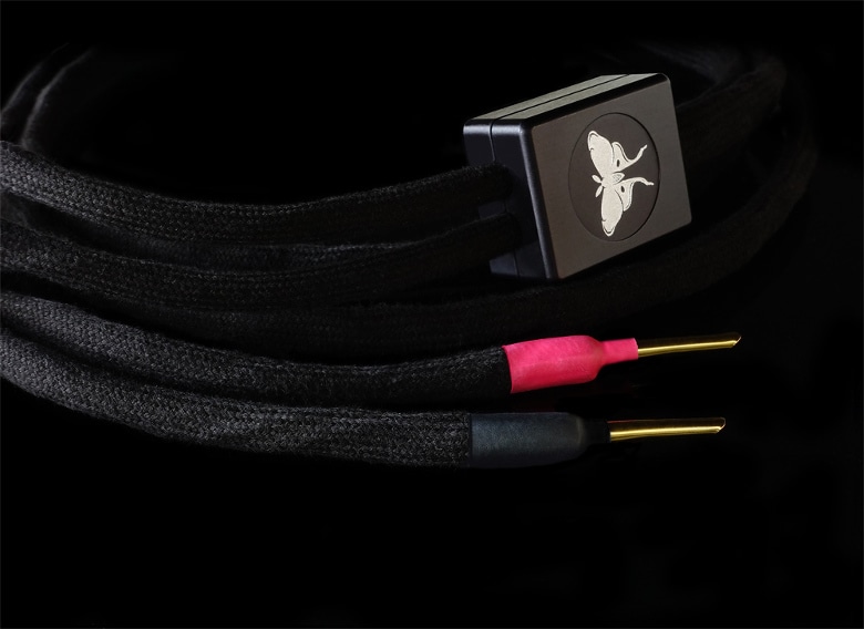 NOIR SP 1.5m