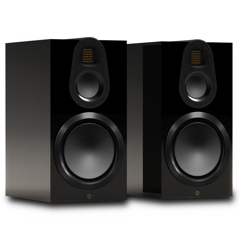 GOLD 100 6G HGBK (High Gloss Black) ペア	